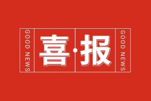 喜报！华体娱乐（中国）有限公司官网集团党支部书记、总裁陈文舒荣登“2024人力资源服务机构100人”榜单